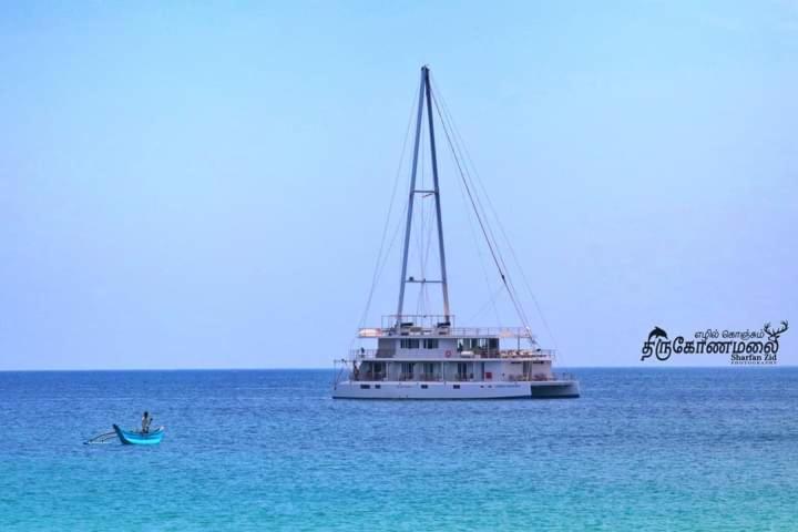 Uppuveli Beach House تريكونامالاي المظهر الخارجي الصورة